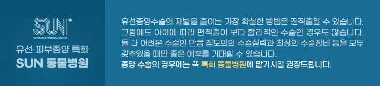 평택 강아지 유선종양 초기 대응이 핵심입니다