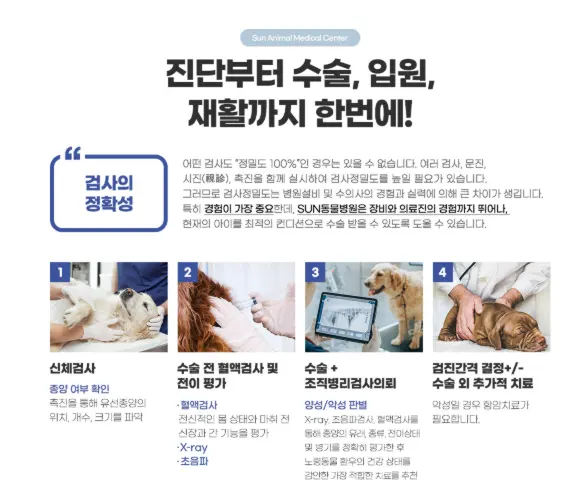 평택 강아지 유선종양 초기 대응이 핵심입니다