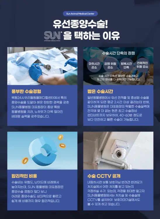 평택 강아지 유선종양 초기 대응이 핵심입니다