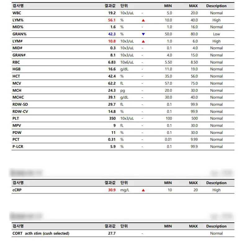 14살 노령견 강아지 발바닥 종양 제거 수술, 종양수술전문동물병원