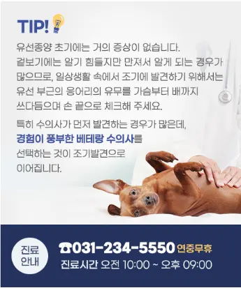 충남 서산 유선종양 병원 선택이 중요한 이유