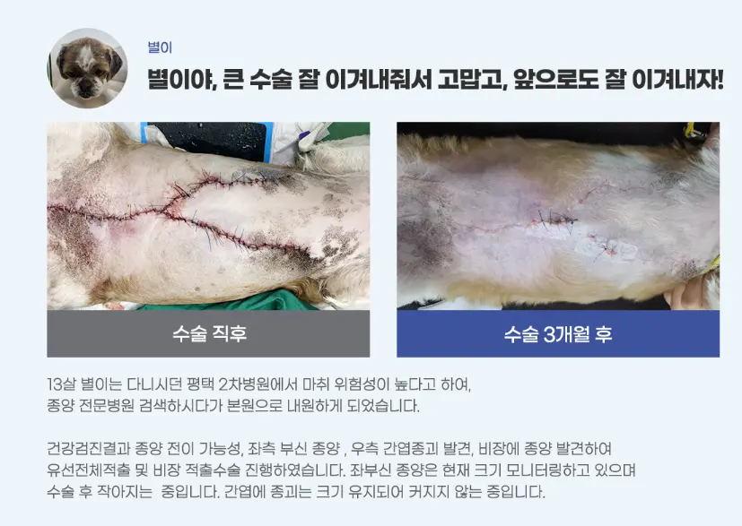충남 서산 유선종양 병원 선택이 중요한 이유