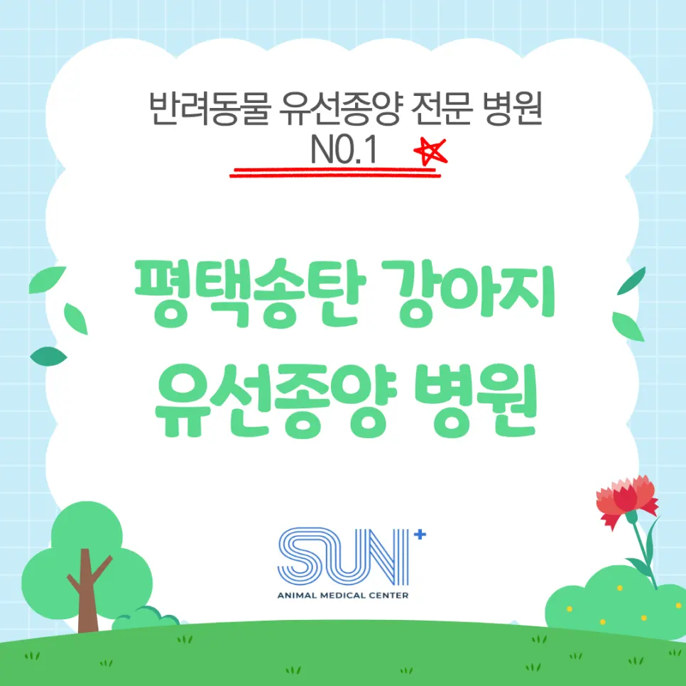 송탄 강아지 유선종양 작은 멍울도 놓치지 말아야 하는 이유