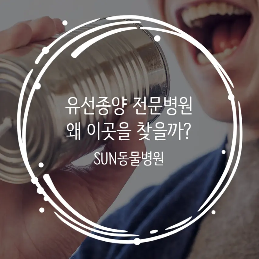 유선종양 전문 동물병원 : SUN을 사람들이 찾는 이유