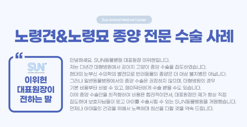수원 고양이친화 동물병원 : SUN을 바라보라