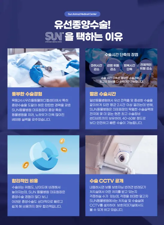 수원 고양이친화 동물병원 : SUN을 바라보라