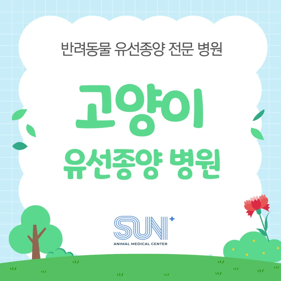 고양이 유선종양 병원 [수원 SUN동물병원]
