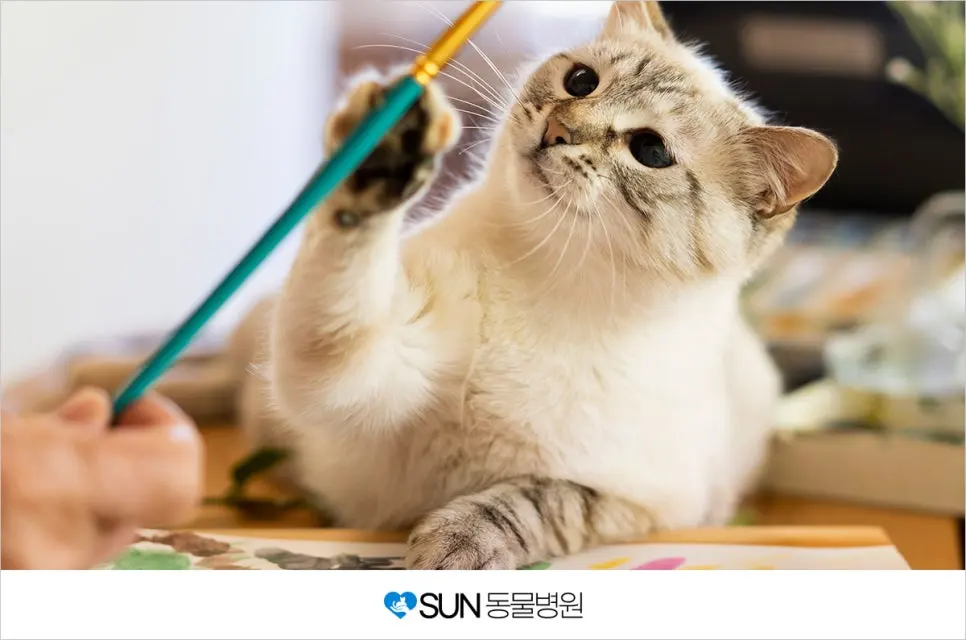 수원고양이중성화 썬동물병원