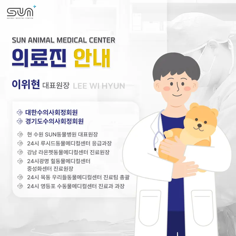 수원동물병원, 강아지 배에서 만져지는 볼록한 혹!