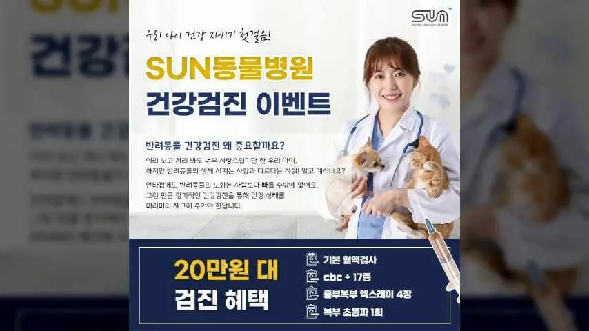 수원강아지건강검진 잘하는 곳! sun동물병원 영상