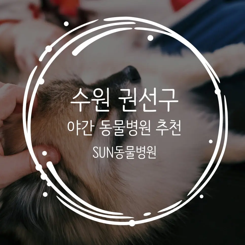 수원 권선구 동물병원 안심할 수 있는 선택지가 있으니까