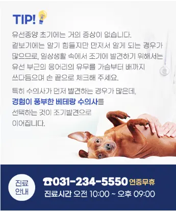 수원 권선구 동물병원 안심할 수 있는 선택지가 있으니까