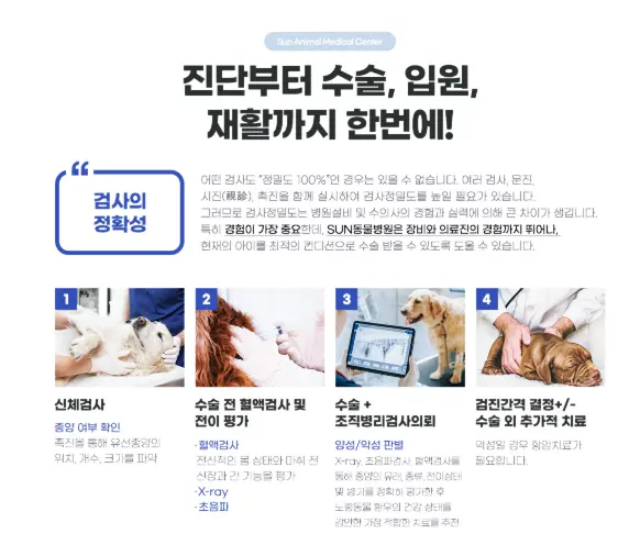 수원 권선구 동물병원 안심할 수 있는 선택지가 있으니까