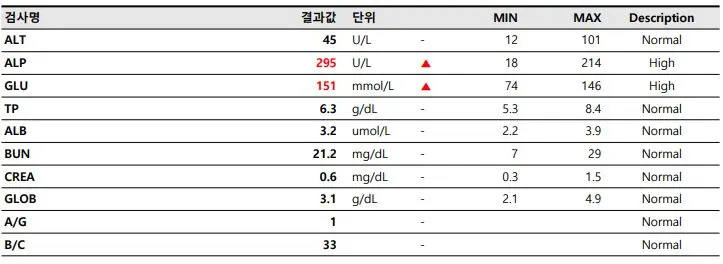 수원강아지유치발치 6개월 말티푸 구름이 발치 및 스케일링 치료
