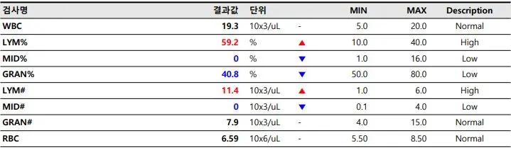 수원강아지유치발치 6개월 말티푸 구름이 발치 및 스케일링 치료