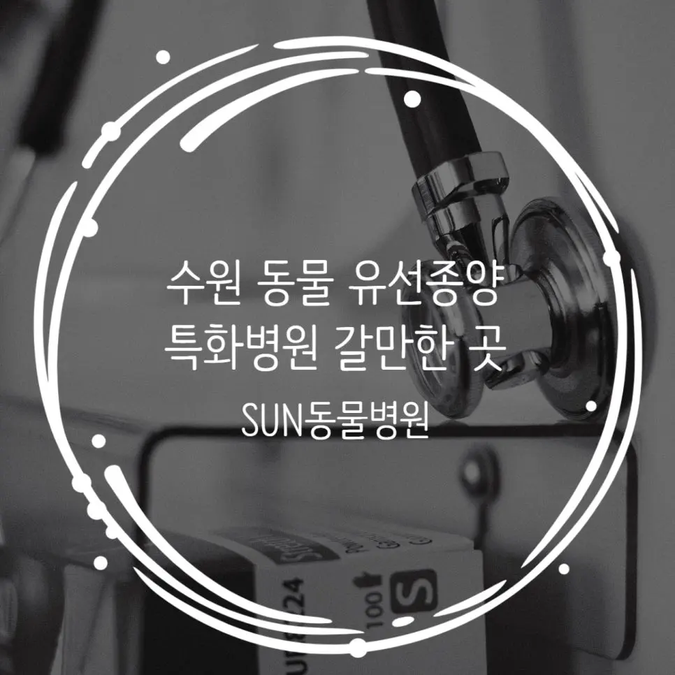 수원 유선종양 특화병원으로 주목받는 곳