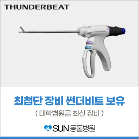 수원 sun동물병원