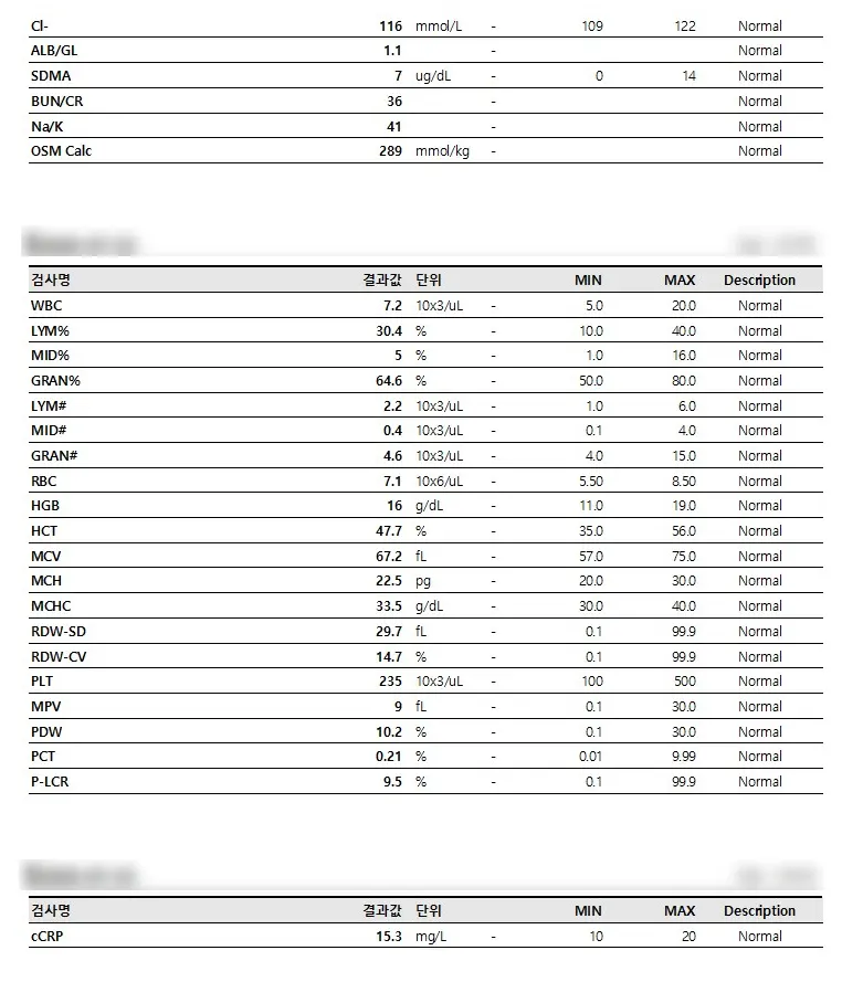 출혈 없는 안전한 강아지유선종양수술! 수원sun동물병원이라면?