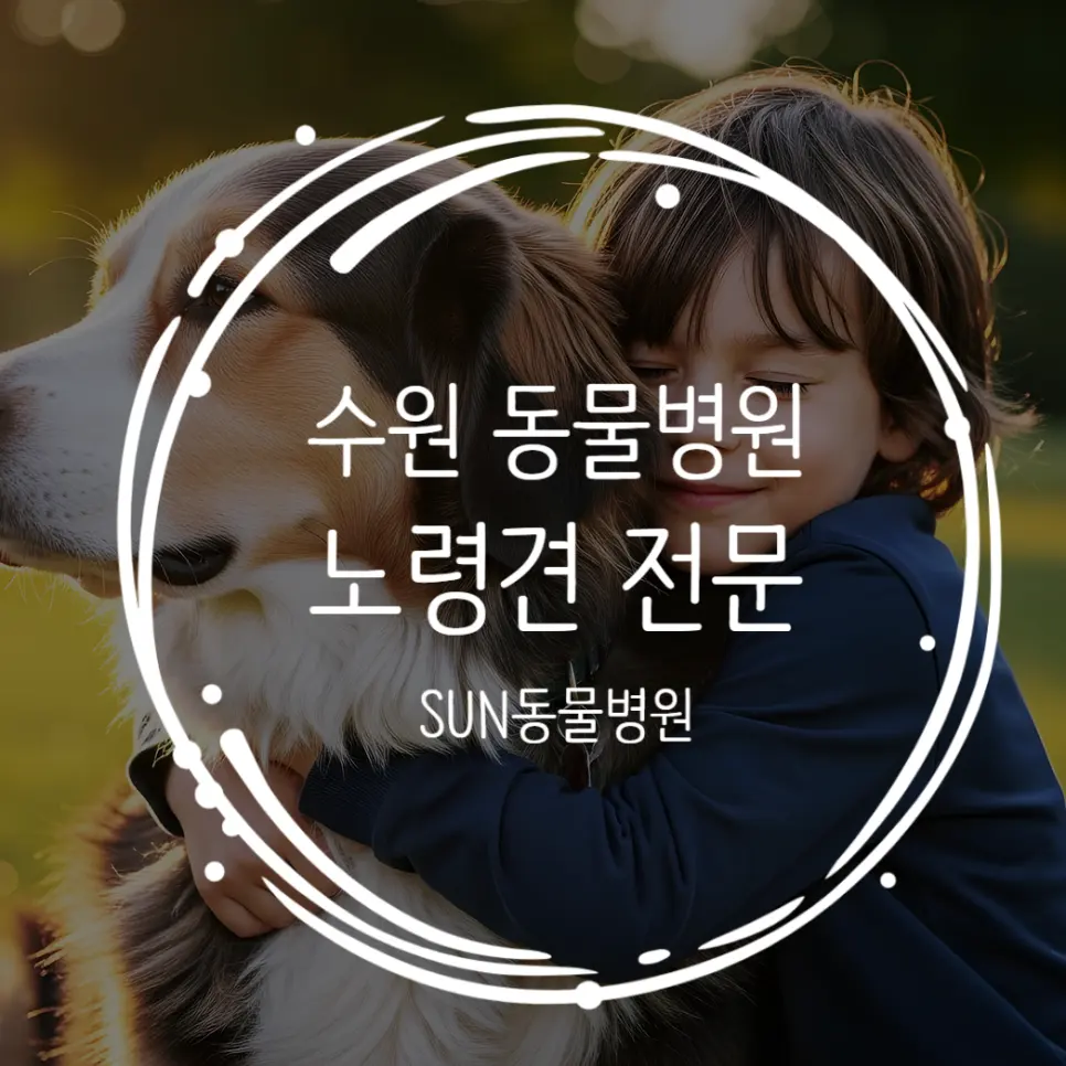 수원 노령견 동물병원 : 견주들이 왜 많이 찾을까?