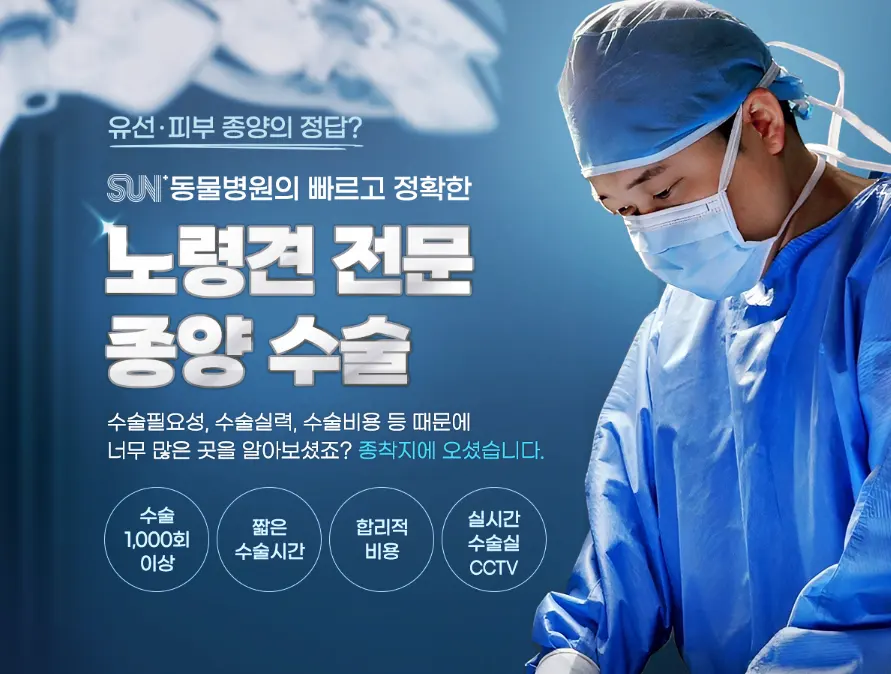 수원 노령견 동물병원 : 견주들이 왜 많이 찾을까?