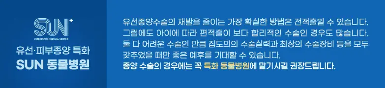 수원 노령견 동물병원 : 견주들이 왜 많이 찾을까?