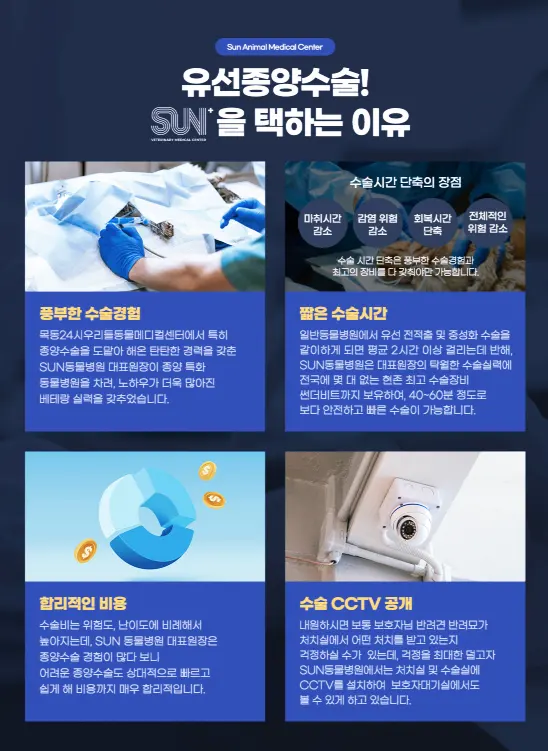 수원 노령견 동물병원 : 견주들이 왜 많이 찾을까?