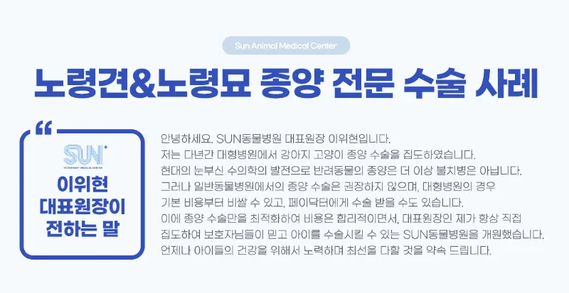 수원 노령견 동물병원 : 견주들이 왜 많이 찾을까?