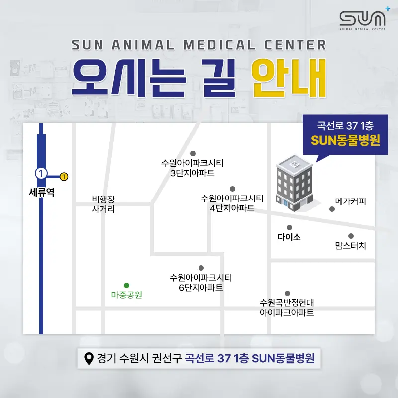 수원 sun동물병원 오시는 길 안내🚗