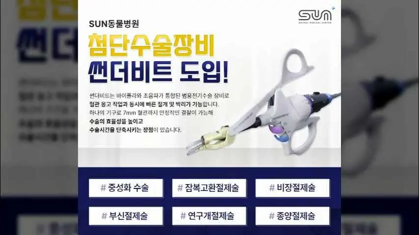 차원이 다른 의료장비를 갖춘 수원썬동물병원 영상