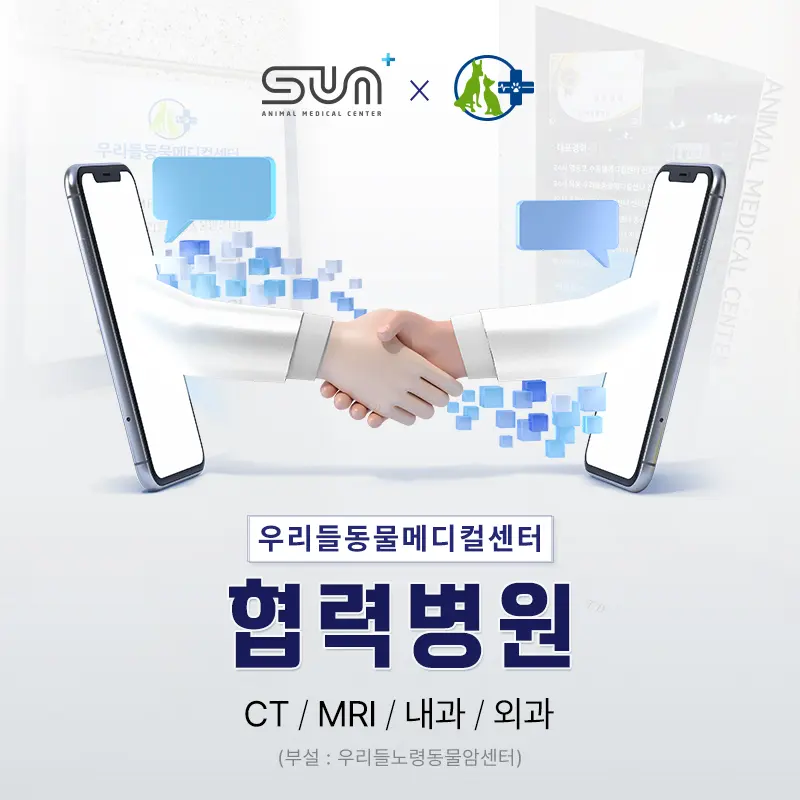 수원주말진료동물병원, 7살 강아지 피부 종괴 수술