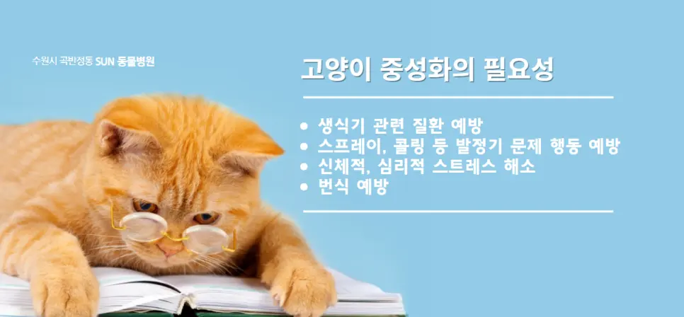 고양이 중성화의 필요성