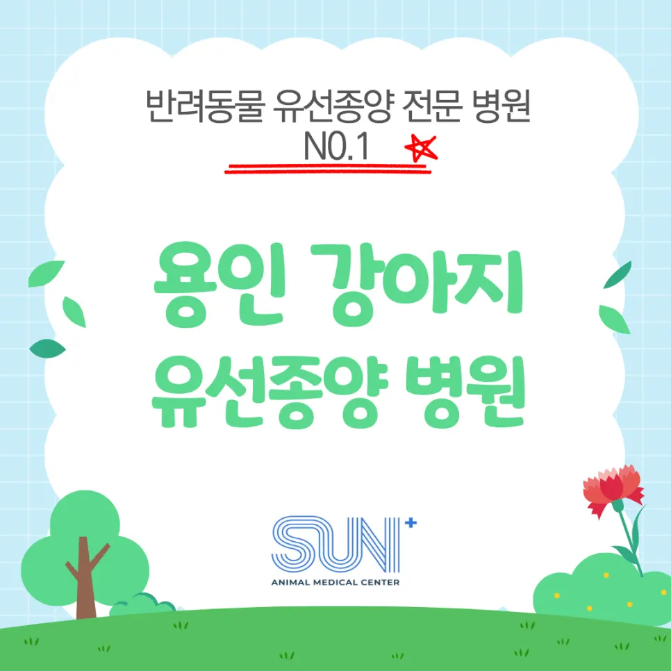 용인 강아지 유선종양 병원 많은 분들이 다녀간 후기가 입증합니다