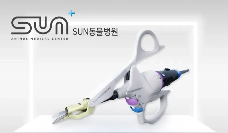 장안구동물병원 강아지 유치 발치부터 치석 제거까지!