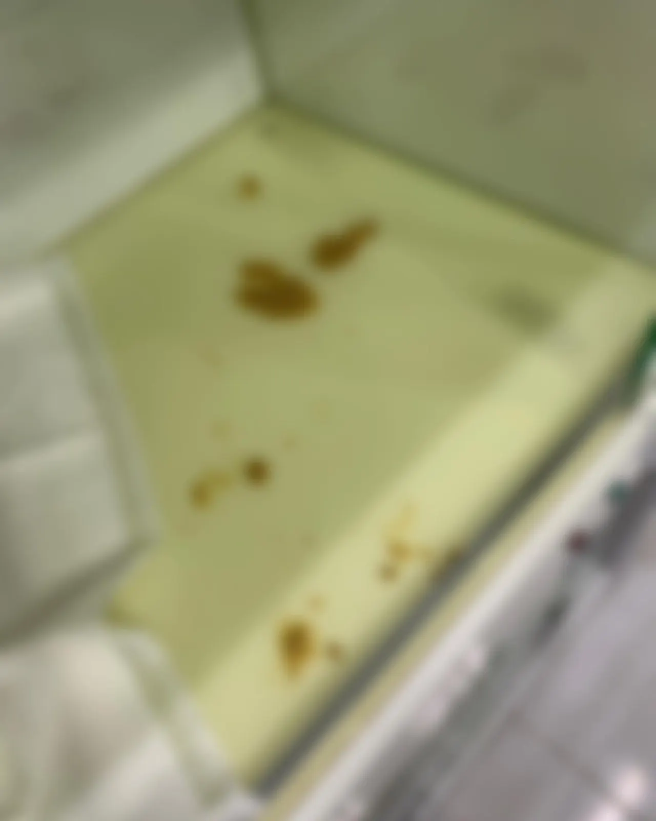 오늘 썬 동물병원에는 댕댕이가 방문을 했습니다. 댕댕이는 빵 포장 끈을 가지고… 사진 3