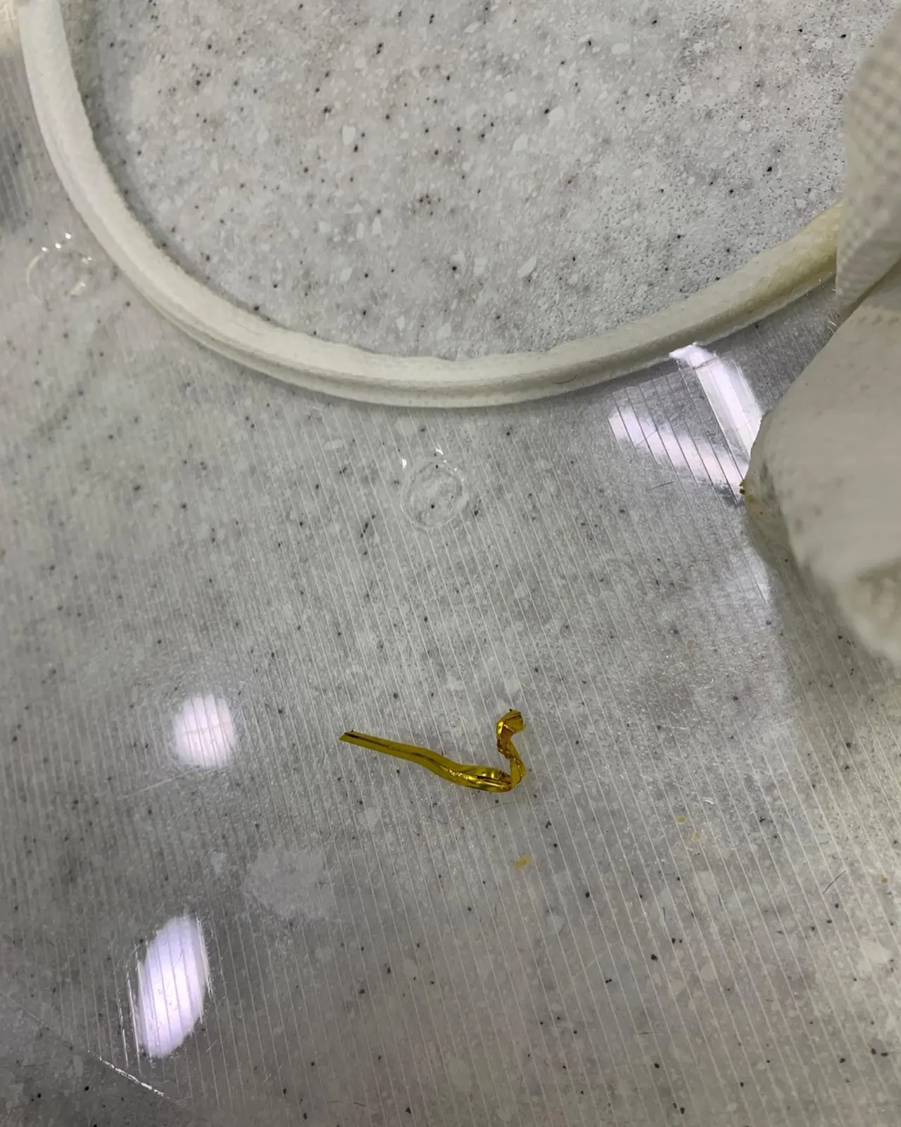 오늘 썬 동물병원에는 댕댕이가 방문을 했습니다. 댕댕이는 빵 포장 끈을 가지고… 사진 4