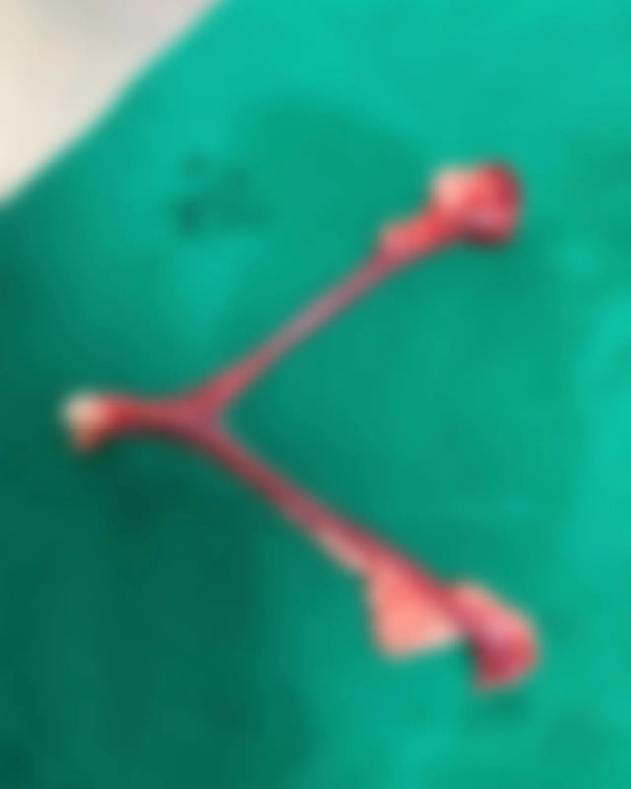 오늘 썬 동물병원에는 루비가 방문을 해 줬는데요. 우리 루비는 암컷 강아지로… 사진 5