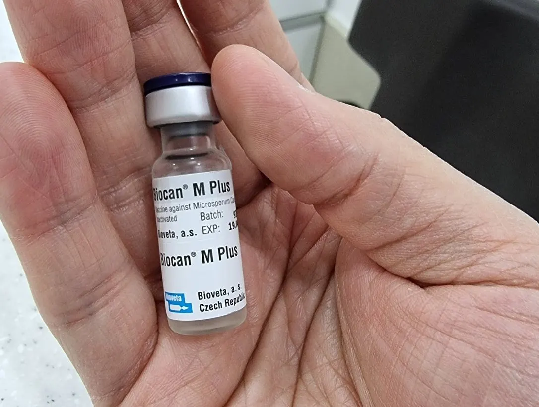 오늘 썬 동물병원에 아리가 방문을 했습니다! 아리는 곰팡이성 피부병이 있던… 사진 5