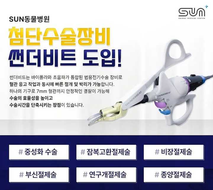 SUN동물병원은 첨단수술장비🩺 썬더비트를 사용하여 최소절개, 출혈없는 수술이… 사진 1