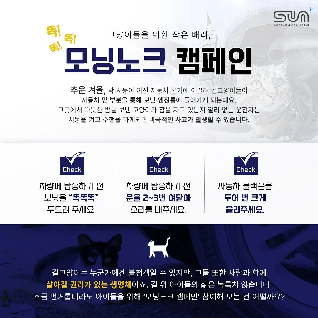 고양이들을 위한 작은 배려, 함께해요! 모닝노크 캠페인✊🏻 사진 1