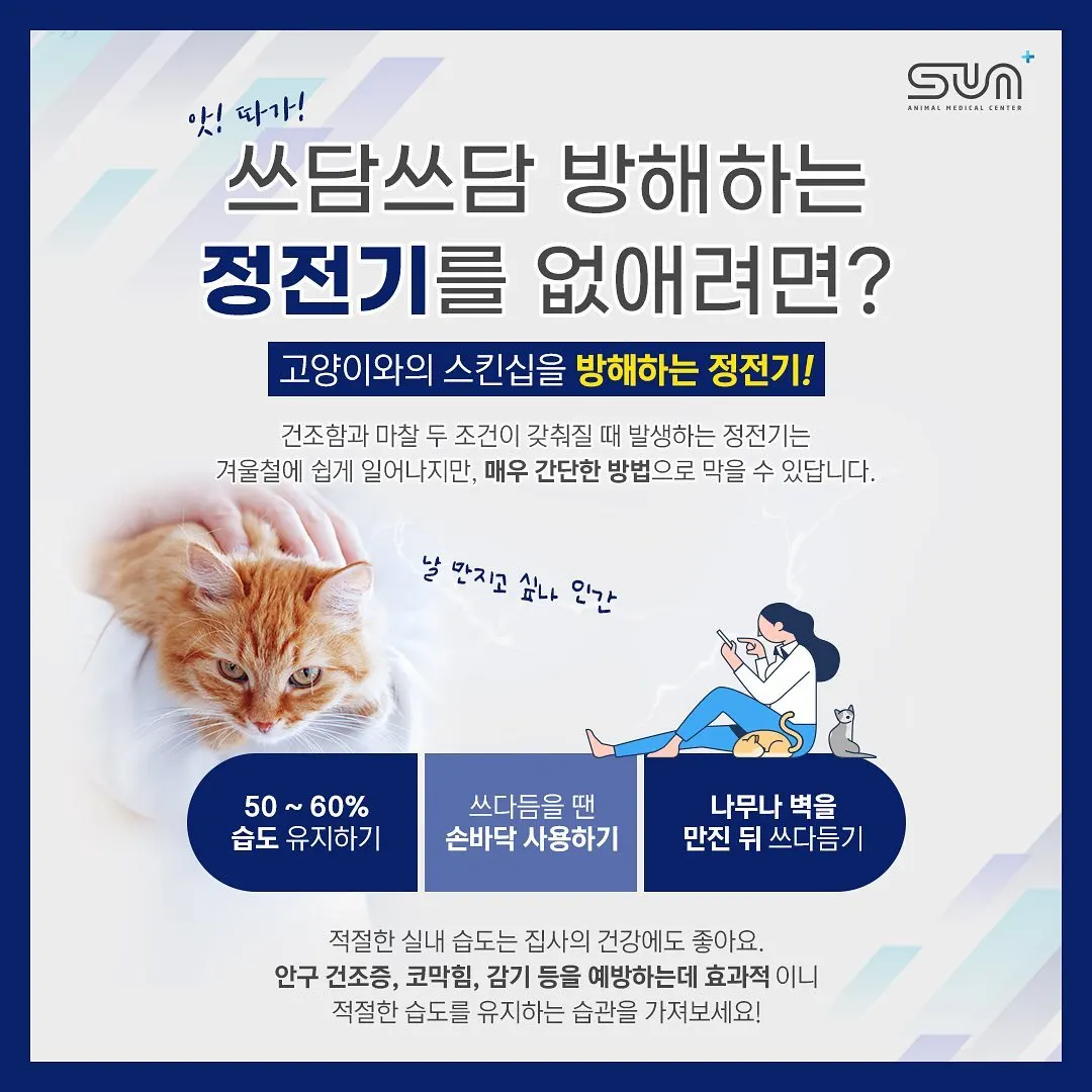 고양이와의 스킨십을 방해하는 따끔따끔⚡️ 정전기를 없애는 방법! 사진 1