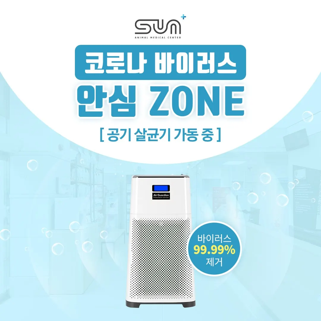 코로나 바이러스??😷 썬동물병원에선 안심하세요! 바이러스 99.99% 제거… 사진 1