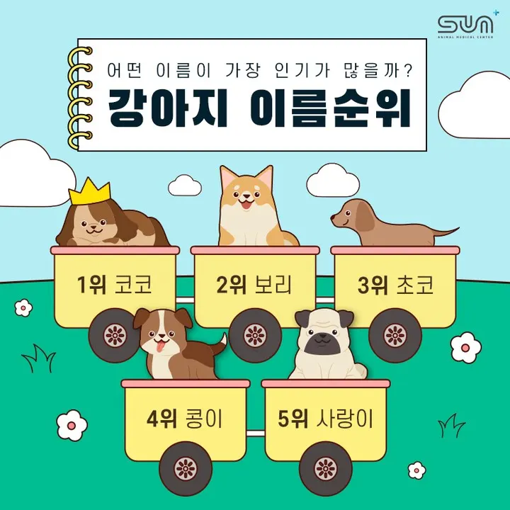 강아지 이름 순위🏆 어떤 이름이 가장 인기가 많을까? 사진 1