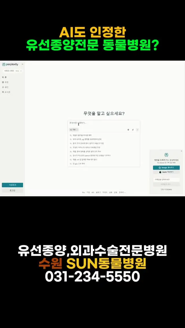 퍼플렉시티에게 물어봤어요. ‘유선종양 수술 잘하는 병원, 어디야?’” AI도…