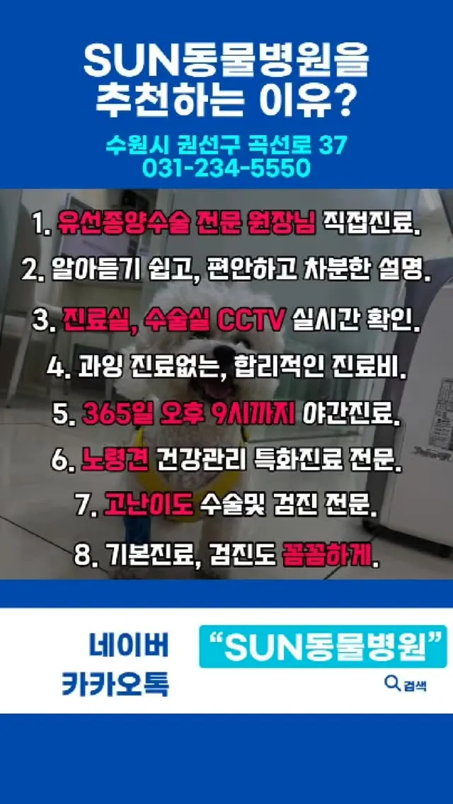강아지 종양수술, 어디서 받아야 할까요?” “고양이 유선종양, 그냥 놔둬도…